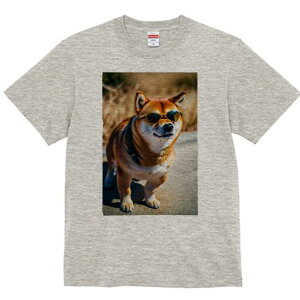 Č TVc fB[X t@  t  vg JWA 킢 lԗp h ̃fUC ʔ TOX Č