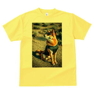 Č TVc fB[X t@  t  vg JWA 킢 lԗp h ̃fUC ʔ TOX Č 