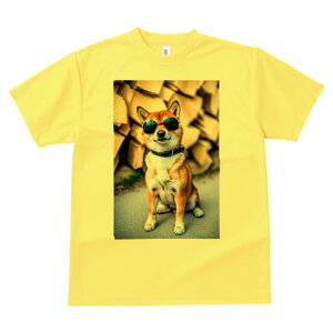 Č TVc fB[X t@  t  vg JWA 킢 lԗp h ̃fUC ʔ TOX Č  ؍