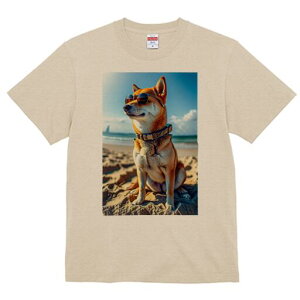 Č TVc fB[X t@  t  vg JWA 킢 lԗp h ̃fUC ʔ TOX Č r[` C