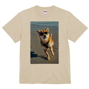 Č TVc fB[X t@  t  vg JWA 킢 lԗp h ̃fUC ʔ TOX Č r[`