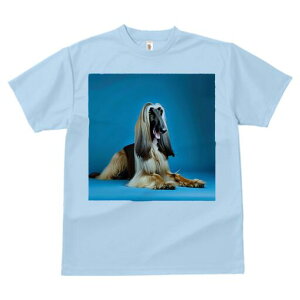 AtKnEh TVc fB[X t@  t  vg JWA 킢 lԗp h ̃fUC ʔ AtKnEh