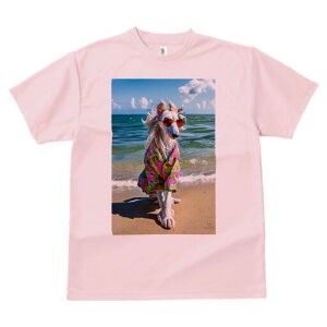 AtKnEh TVc fB[X t@  t  vg JWA 킢 lԗp h ̃fUC ʔ AnVc AtKnEh r[` C TOX