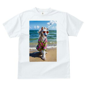 AtKnEh TVc fB[X t@  t  vg JWA 킢 lԗp h ̃fUC ʔ AnVc AtKnEh r[` C TOX