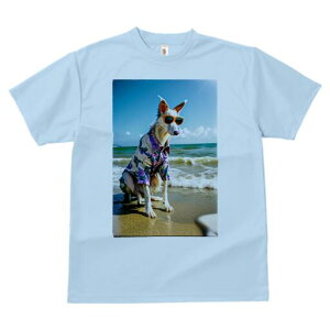 {]C TVc fB[X t@  t  vg JWA 킢 lԗp h ̃fUC ʔ C {]C r[`  TOX