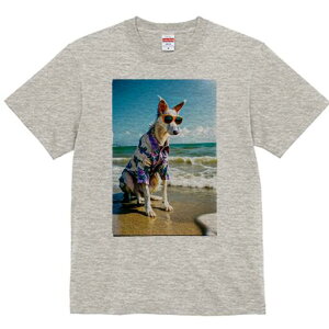 {]C TVc fB[X t@  t  vg JWA 킢 lԗp h ̃fUC ʔ C {]C r[`  TOX