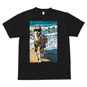 {]C TVc fB[X t@  t  vg JWA 킢 lԗp h ̃fUC ʔ TOX {]C AnVc C r[`