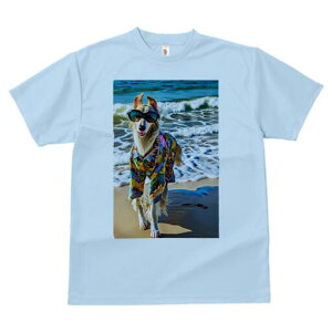 {]C TVc fB[X t@  t  vg JWA 킢 lԗp h ̃fUC ʔ TOX {]C AnVc C r[`