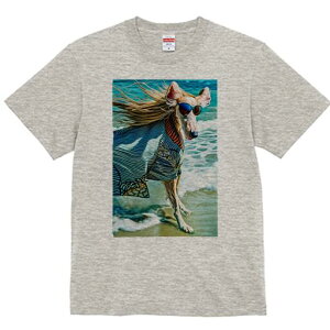 AtKnEh TVc fB[X t@  t  vg JWA 킢 lԗp h ̃fUC ʔ TOX AtKnEh C r[` XgCv