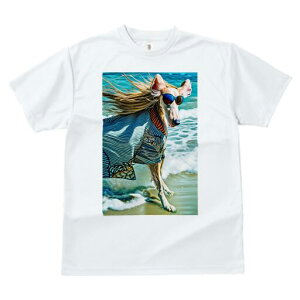 AtKnEh TVc fB[X t@  t  vg JWA 킢 lԗp h ̃fUC ʔ TOX AtKnEh C r[` XgCv