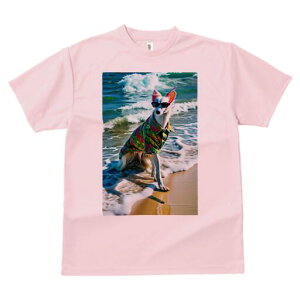 AtKnEh TVc fB[X t@  t  vg JWA 킢 lԗp h ̃fUC ʔ AnVc AtKnEh TOX r[` g