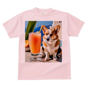 R[M[ TVc fB[X t@  t  vg JWA 킢 lԗp h ̃fUC ʔ W[X R[M[ hN  C