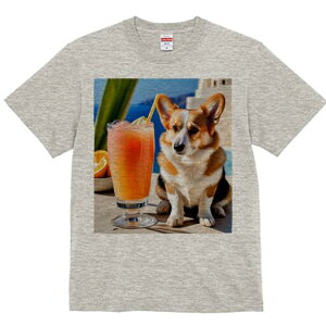 R[M[ TVc fB[X t@  t  vg JWA 킢 lԗp h ̃fUC ʔ W[X R[M[ hN  C