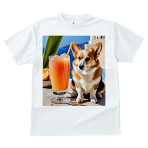 R[M[ TVc fB[X t@  t  vg JWA 킢 lԗp h ̃fUC ʔ W[X R[M[ hN  C