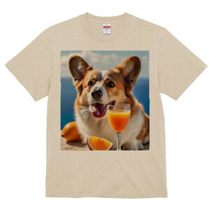 R[M[ TVc fB[X t@  t  vg JWA 킢 lԗp h ̃fUC ʔ IWW[X R[M[  IW