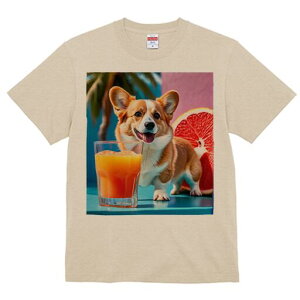 R[M[ TVc fB[X t@  t  vg JWA 킢 lԗp h ̃fUC ʔ W[X R[M[ OX O[vt[c 