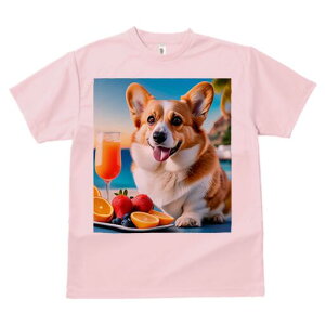 R[M[ TVc fB[X t@  t  vg JWA 킢 lԗp h ̃fUC ʔ W[X R[M[ t[c C r[`