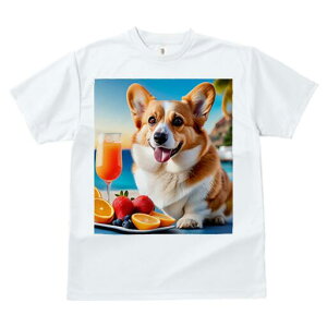 R[M[ TVc fB[X t@  t  vg JWA 킢 lԗp h ̃fUC ʔ W[X R[M[ t[c C r[`