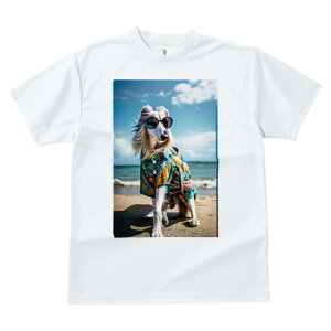 AtKnEh TVc fB[X t@  t  vg JWA 킢 lԗp h ̃fUC ʔ TOX AtKnEh AnVc r[` C