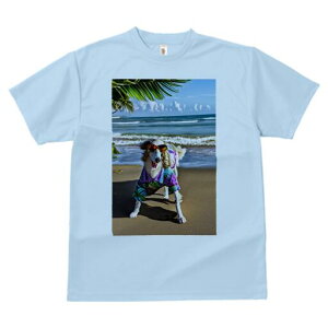 {]C TVc fB[X t@  t  vg JWA 킢 lԗp h ̃fUC ʔ r[` {]C C g z