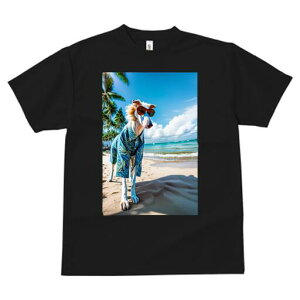 {]C TVc fB[X t@  t  vg JWA 킢 lԗp h ̃fUC ʔ r[` {]C C  x