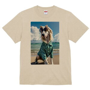 AtKnEh TVc fB[X t@  t  vg JWA 킢 lԗp h ̃fUC ʔ TOX AtKnEh AnVc r[` C