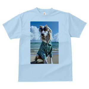 �A�t�K���n�E���h T�V���c ���f�B�[�X ���t�@�� ���� �t�� ���� �v�����g �J�W���A�� ���킢�� �l�ԗp ���h ���������̃f�U�C�� �ʔ� �T���O���X �A�t�K���n�E���h �A���n�V���c �r�[�` �C