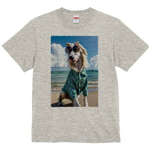 AtKnEh TVc fB[X t@  t  vg JWA 킢 lԗp h ̃fUC ʔ TOX AtKnEh AnVc r[` C