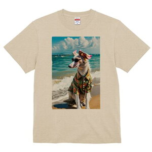 {]C TVc fB[X t@  t  vg JWA 킢 lԗp h ̃fUC ʔ r[` {]C C AnVc TOX