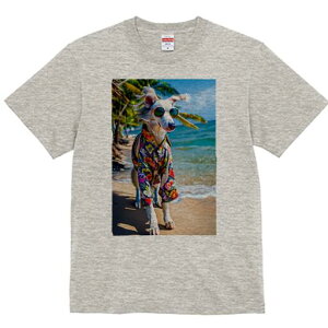 {]C TVc fB[X t@  t  vg JWA 킢 lԗp h ̃fUC ʔ r[` {]C C V̖ AnVc