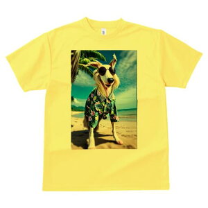 AtKnEh TVc fB[X t@  t  vg JWA 킢 lԗp h ̃fUC ʔ AnVc AtKnEh r[` TOX 