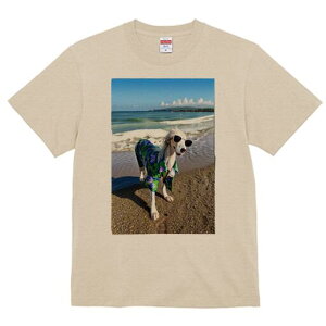 AtKnEh TVc fB[X t@  t  vg JWA 킢 lԗp h ̃fUC ʔ r[` AtKnEh C g z