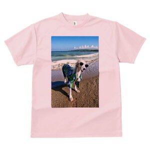 AtKnEh TVc fB[X t@  t  vg JWA 킢 lԗp h ̃fUC ʔ r[` AtKnEh C g z