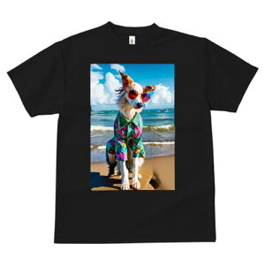 AtKnEh TVc fB[X t@  t  vg JWA 킢 lԗp h ̃fUC ʔ r[` AtKnEh C  AnVc