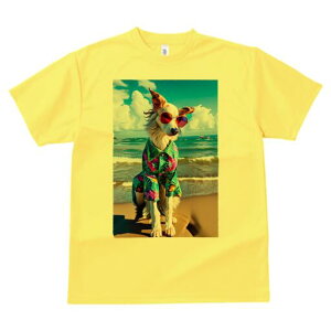 AtKnEh TVc fB[X t@  t  vg JWA 킢 lԗp h ̃fUC ʔ r[` AtKnEh C  AnVc