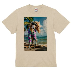 AtKnEh TVc fB[X t@  t  vg JWA 킢 lԗp h ̃fUC ʔ AnVc AtKnEh TOX r[` C