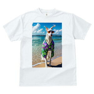 {]C TVc fB[X t@  t  vg JWA 킢 lԗp h ̃fUC ʔ r[` {]C C z 