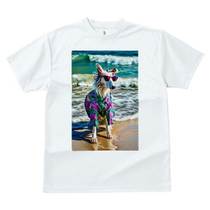 AtKnEh TVc fB[X t@  t  vg JWA 킢 lԗp h ̃fUC ʔ TOX AtKnEh AnVc C r[`