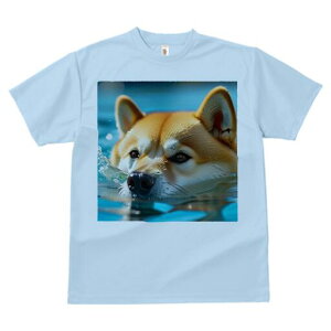 Č TVc fB[X t@  t  vg JWA 킢 lԗp h ̃fUC ʔ  Č 