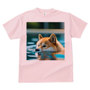 Č TVc fB[X t@  t  vg JWA 킢 lԗp h ̃fUC ʔ  Č 