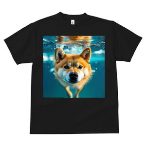 Č TVc fB[X t@  t  vg JWA 킢 lԗp h ̃fUC ʔ  Č 