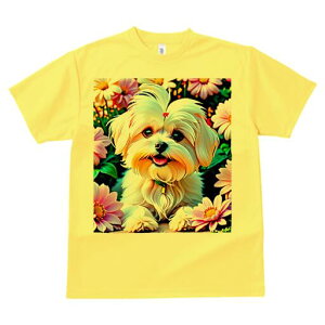 }`[Y TVc fB[X t@  t  vg JWA 킢 lԗp h ̃fUC ʔ  }`[Y 킢 |bv