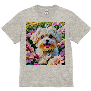 }`[Y TVc fB[X t@  t  vg JWA 킢 lԗp h ̃fUC ʔ  }`[Y t 킢