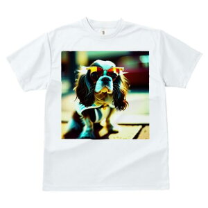 LoA TVc fB[X t@  t  vg JWA 킢 lԗp h ̃fUC ʔ TOX LoA 