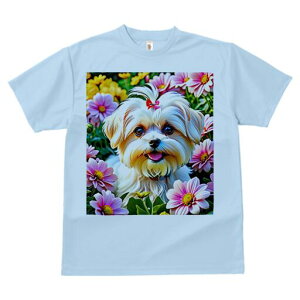 }`[Y TVc fB[X t@  t  vg JWA 킢 lԗp h ̃fUC ʔ  }`[Y t 킢 K[fjO