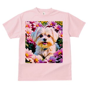 }`[Y TVc fB[X t@  t  vg JWA 킢 lԗp h ̃fUC ʔ  }`[Y f[W[