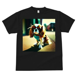 LoA TVc fB[X t@  t  vg JWA 킢 lԗp h ̃fUC ʔ U LoA o 킢 