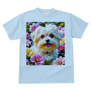 }`[Y TVc fB[X t@  t  vg JWA 킢 lԗp h ̃fUC ʔ  }`[Y t 킢