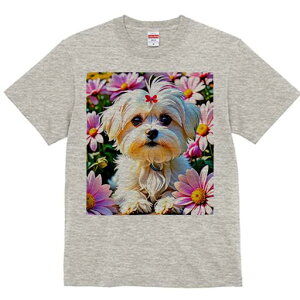 }`[Y TVc fB[X t@  t  vg JWA 킢 lԗp h ̃fUC ʔ  }`[Y 킢 t |bv