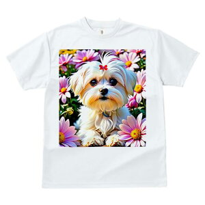 }`[Y TVc fB[X t@  t  vg JWA 킢 lԗp h ̃fUC ʔ  }`[Y 킢 t |bv